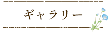 ギャラリー