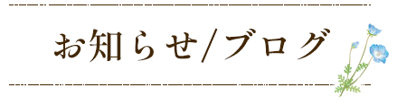 お知らせ/ブログ